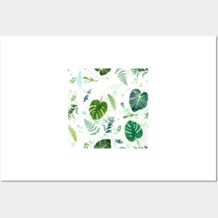 Tropical Plant Leaves - LG Posters and Art